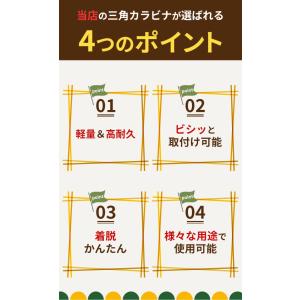 三角カラビナ タープ テント ロープ 6個セッ...の詳細画像3