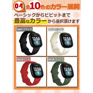 Fitbit Versa4 Versa3 Se...の詳細画像5