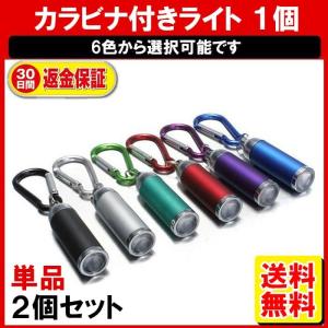 LEDライト キーホルダー ライト カラビナ キーファインダー