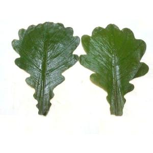 柏葉の商品一覧 通販 Yahoo ショッピング