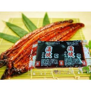 【送料込み!】蒲焼のたれ 20g×20入×2 藤商店(うなぎ ウナギ 鰻 焼き鳥 かばやき タレ) [常温]｜湯川商店 Yahoo!店