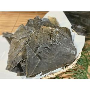 お徳用 羅臼昆布みみ 切り落とし 500g （羅臼こんぶ らうすこんぶ