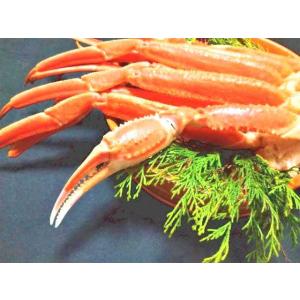 徳島県産 ひのきの葉 10枚 約20cm〜30...の詳細画像3