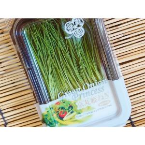 芽ねぎ (芽ネギ 姫ねぎ 姫ネギ 国産 静岡産...の詳細画像1