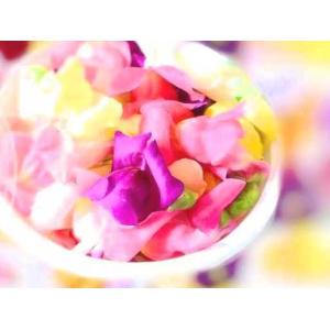 エディブルフラワーミックス( ビオラ パンジー 桜草 金魚草 食用花 刺身つま デコレーション 愛知県産) [冷蔵or冬季常温]