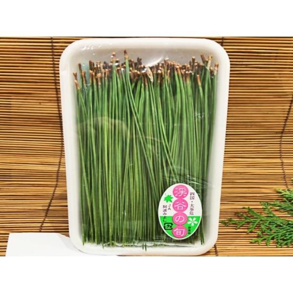 徳島産 大歩危 ほか　松の葉 パック入(約50g入 あしらい 緑色 松葉 串) [冷蔵or冬季常温]