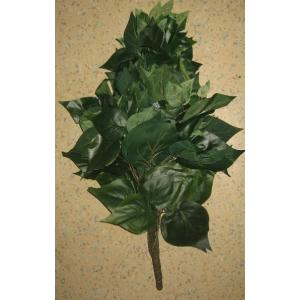 人口観葉植物　ポトス　リーフ（葉は全面グリーン色）　ブッシュ　全体サイズ：幅約３０ｃｍ　高さ約５０ｃｍ　１束（枝12本分）｜yukawafnt