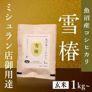 雪椿 令和7年産 お米 米 玄米 30kg 魚沼産コシヒカリ（最高級）「雪椿