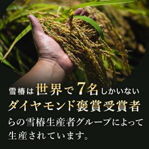 米 お米 こしひかり 魚沼産 新潟 魚沼産コシ...の詳細画像2