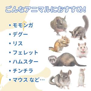 ハンモック 小動物 ペット デグー ベッド ペ...の詳細画像2