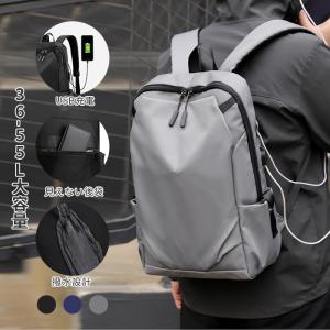 美品 BUMP OF CHICKEN バンプオブチキン Silver Jubilee Backpack