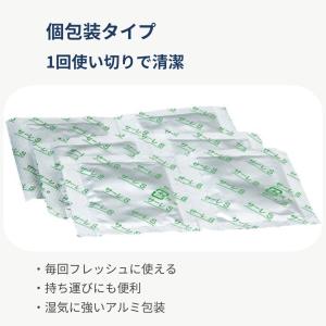 爆買 ハナクリーンS 専用洗浄剤 鼻うがい h...の詳細画像1