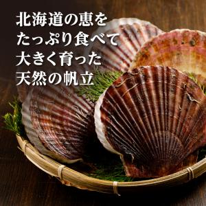 ほたて 特大ホタテ剥き身 1K(31~35玉)...の詳細画像1