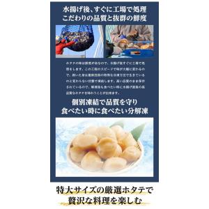 ほたて 特大ホタテ剥き身 1K(31~35玉)...の詳細画像4