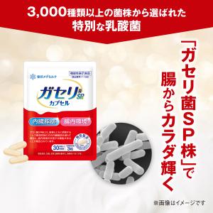 雪印 メグミルク 公式 ガセリ菌SP株 カプセ...の詳細画像3