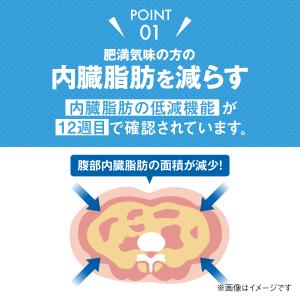 雪印 メグミルク 公式 ガセリ菌SP株 カプセ...の詳細画像5