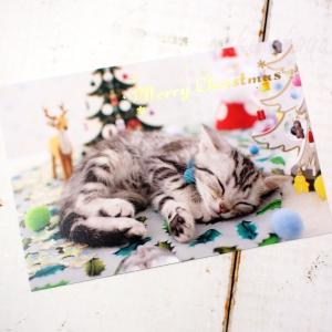 猫のポストカード クリスマスカード Merry Christmas アメショー Xmasカード 文房具 ステーショナリー 猫雑貨 猫グッズ ネコ雑貨 ねこ柄 キャット 雑貨｜yukinekoya2