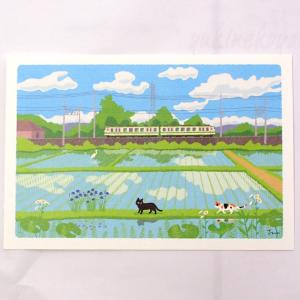 猫 ポストカード 夏はがき 三井ちかこ3枚入り 三毛猫と風鈴 絵葉書