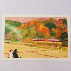 猫のポストカード たびねこ京都の花屋 森俊憲 もりとしのり 黒猫 三毛