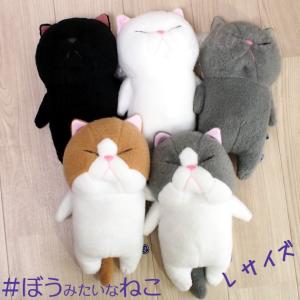 新品未開封 White Tails ワイテルズ くまめいと シャークん White Tails ワイテルズ くまめいとセット (ぬいぐるみ
