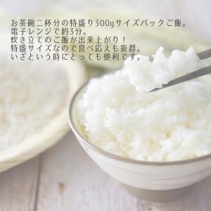 ウーケ 神明 特盛ごはん パック ご飯 ごはん...の詳細画像1