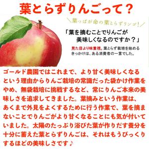 リンゴジュース 青森 パック ストレート 林檎...の詳細画像2
