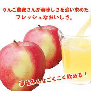 リンゴジュース 青森 パック ストレート 林檎...の詳細画像3