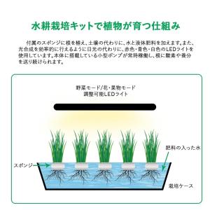 水耕栽培キット LED 水耕栽培 キット 家庭...の詳細画像4