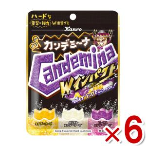 UHA味覚糖 忍者めし 鉄の鎧 グレープ味 40g×10個 : 1913ストア - 通販