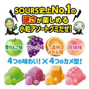 ノーベル カチカチちびカメカメサワーズグミ フ...の詳細画像3