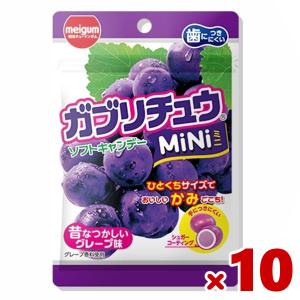明治チューインガム ガブリチュウmini グレープ 28g×10入   メール便全国
