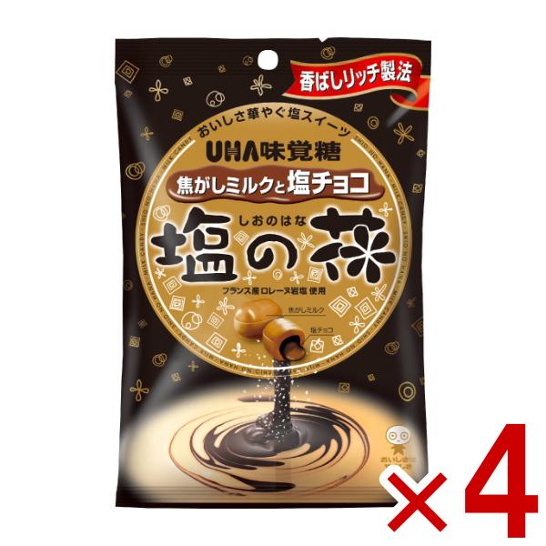味覚糖 塩の花 焦がしミルクと塩チョコ 71g×4袋セット (ポイント消化) (np-3) (賞味期...