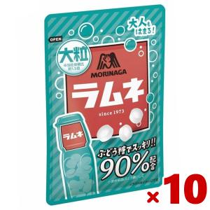 ラムネ商品です ハタ鉱泉 ハタ ラムネ ですよ ペット 250ml×60本(2ケース) : 酒