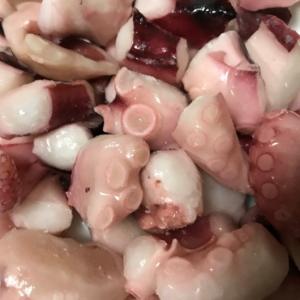 CU2 業務用中国産岩蛸ブランチカットタコ5gタイプ　1kg×10pc