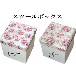 閉店セール☆30%クーポン】 収納スツール 収納ボックス 収納ケース