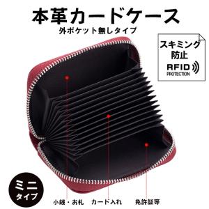 カードケース スキミング防止 本革 レザー コンパクト ファスナー 牛革 小さい ミニ 持ち運び 磁気防止 財布 カード入れ 小銭入れ 兼用 保険証 マイナンバー｜yume-ribbon