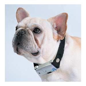 最適な価格 小型犬用無駄吠え防止 ラブリーワンプチ 夢みつけ隊 通販 Yahoo ショッピング Talentoincluir Com Br