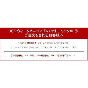 コンタクトレンズ 乱視用 2week メニコン...の詳細画像4