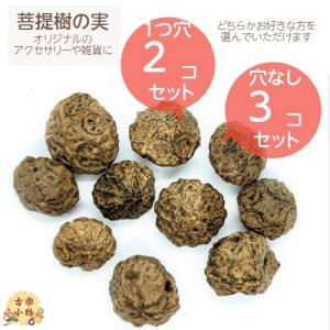 菩提樹の実　1つ穴2個セット　穴なし3個セット　パーツ　材料　和雑貨　オリジナル　手作り 手芸用品 　素材　 ハンドメイド　手芸　お守り｜yumegatari