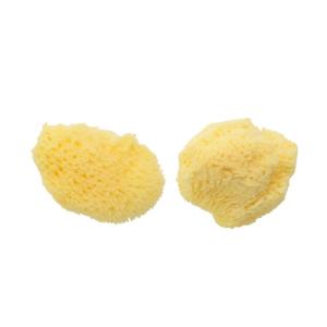 天然海綿 No.7 細目 2個入り 3×2.5cm