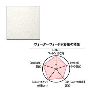 WATERFORD ウォーターフォード 水彩紙 1/4 (300g) ナチュラル