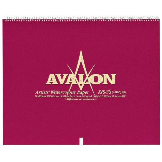 AVALON アヴァロン 水彩紙 コットン100％ 300g/m2 中目 スプリング SM (227...