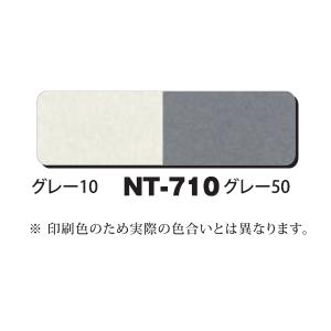 NTラシャボード NT-710 両面2色 B3 (10枚入)｜yumegazai