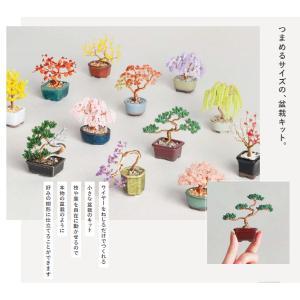 ねじって盆栽キット ネジッテ BONSAI B...の詳細画像1