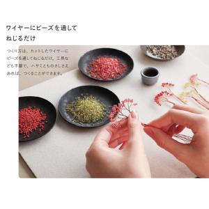 ねじって盆栽キット ネジッテ BONSAI B...の詳細画像3