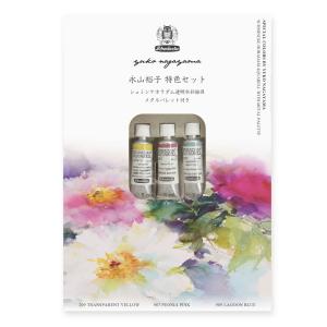 シュミンケ ホラダム最高級透明水彩絵具 74424 ハーフパン24色 水彩