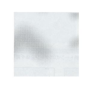 デリータースクリーン SE-1072 (10枚パック)