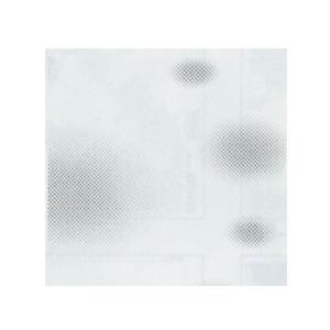 デリータースクリーン SE-895 (10枚パック)