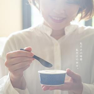 アイスクリーム専用スプーン カーボン素材 WARM TECH SPOON Type 1S｜yumegazai
