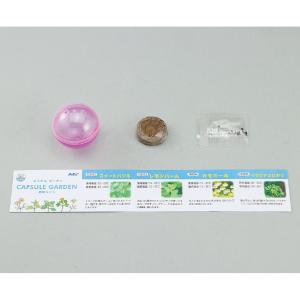 ハーブ栽培キット スイートバジル カプセルガーデ...の商品画像